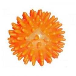 Bola Exercicio com Picos